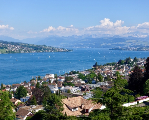 View of lake, residential area & Alps from elevated position